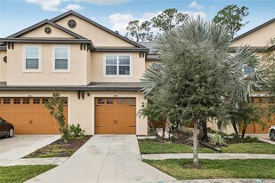 11467 Cay Spruce Wy in San Antonio, FL - Building Photo