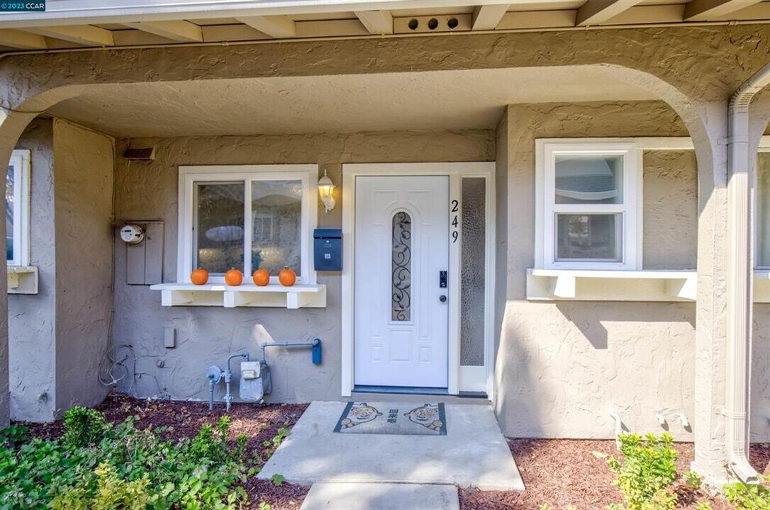 249 N Temple Dr in Milpitas, CA - Building Photo