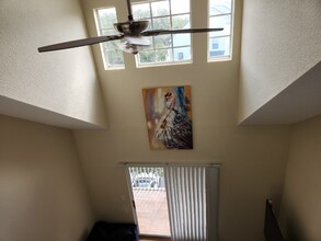 3311 Haviland Ct in Palm Harbor, FL - Foto de edificio - Building Photo