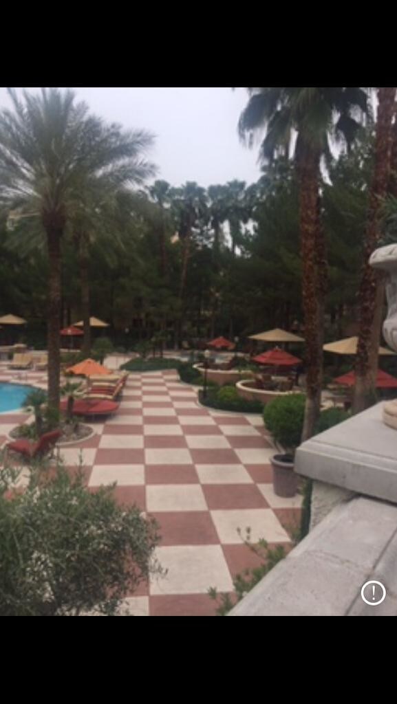 260 E Flamingo Rd-Unit -326 in Las Vegas, NV - Building Photo - Building Photo