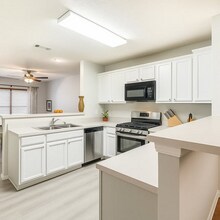1717 Shady Creek Dr in Lewisville, TX - Building Photo - Building Photo