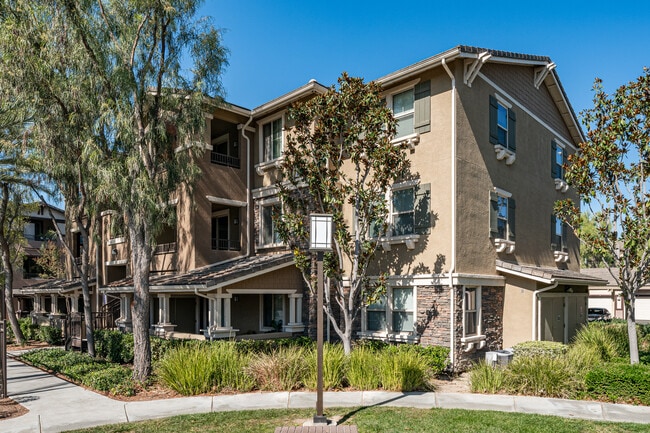 Meadow Square Apartment Homes in Chino, CA - Building Photo - Building Photo