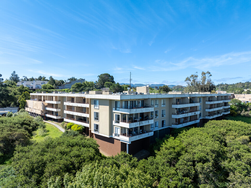 10 Scenic Way in San Mateo, CA - Building Photo