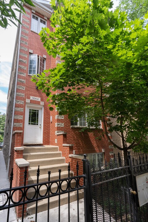 1064 N Marshfield Ave in Chicago, IL - Building Photo