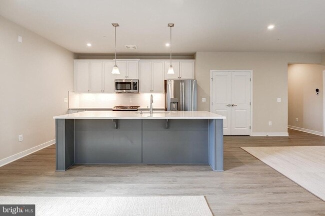 4395 Peach Lily Ln in Chantilly, VA - Building Photo - Building Photo