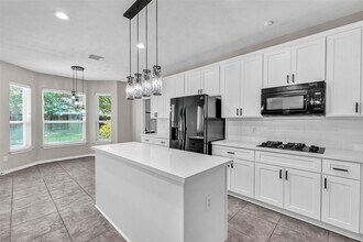 3 Renoir Trail Pl in Spring, TX - Building Photo - Building Photo