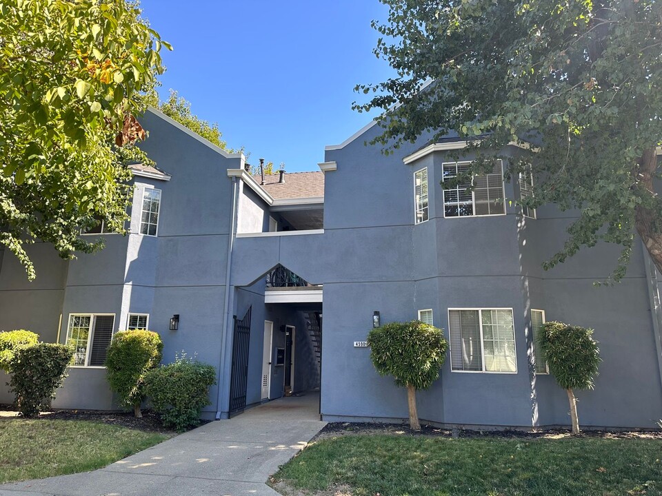 4590 Augustine St in Pleasanton, CA - Building Photo