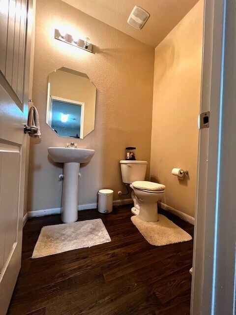 223 Camellia Dr in Hutto, TX - Building Photo - Building Photo