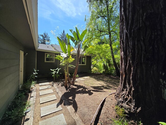 1871 Jonive Rd in Sebastopol, CA - Building Photo - Building Photo