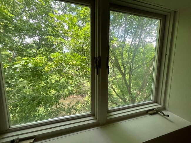 28 East St in Honeoye Falls, NY - Building Photo - Building Photo