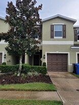 20403 Berrywood Ln in Tampa, FL - Building Photo