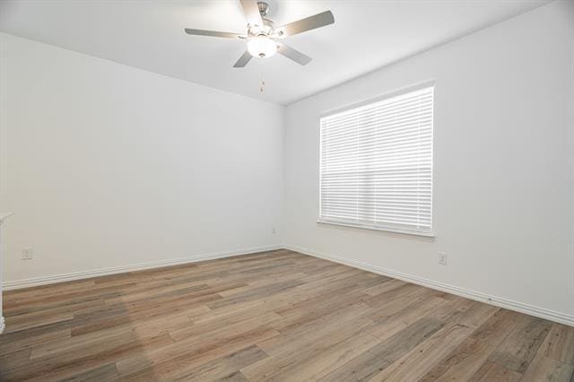 3313 Kiskadee Ct in McKinney, TX - Building Photo - Building Photo