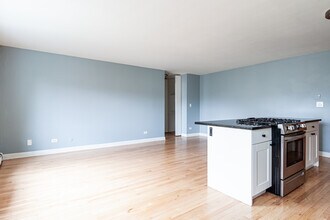 655 W Grace St, Unit 510 in Chicago, IL - Building Photo - Building Photo