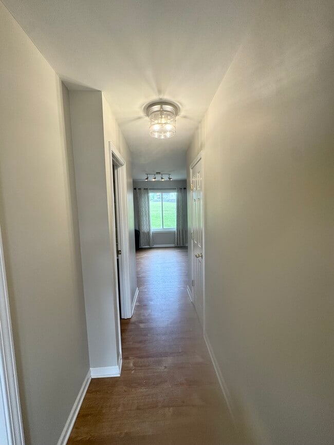 4017 Cadence Dr in Spring Hill, TN - Foto de edificio - Building Photo