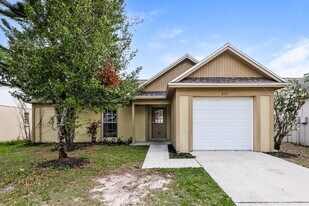 317 Regal Park Dr in Valrico, FL - Building Photo