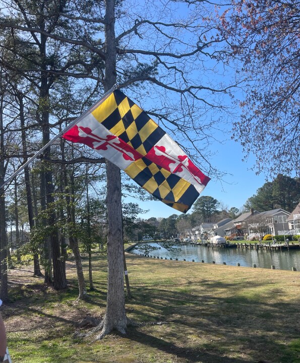 438 Ocean Pkwy in Ocean Pines, MD - Foto de edificio