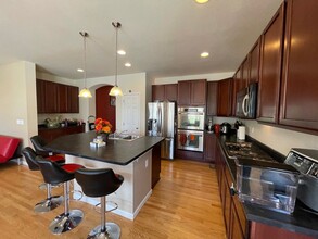 17784 Coral Burst St in Parker, CO - Building Photo - Building Photo