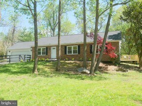 35600 Sassafras Dr in Round Hill, VA - Building Photo - Building Photo