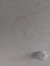 34 Abbott Ct in Fredericton, NB - Building Photo - Building Photo