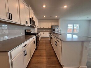 208 Otter Rd in Kyle, TX - Building Photo - Building Photo