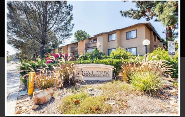 property at 10232 Black Mountain Rd