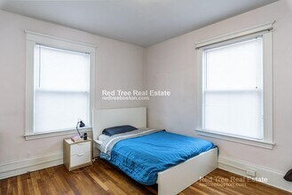 229 Chestnut Hill Ave, Unit 1 in Boston, MA - Building Photo - Building Photo