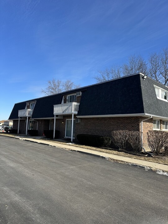 1010 Shagbark Rd in New Lenox, IL - Building Photo