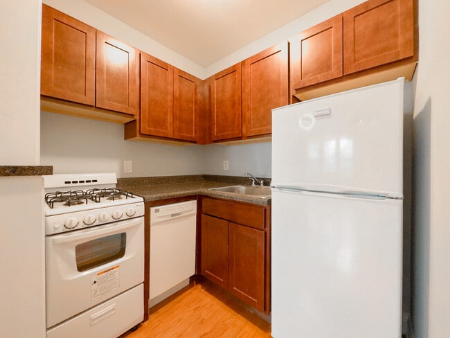 842 W Wolfram St in Chicago, IL - Building Photo - Building Photo