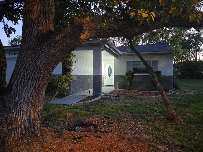 12407 Spanish Moss Dr in Hudson, FL - Foto de edificio - Building Photo