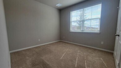 487 Apache Plum Dr in Niederwald, TX - Building Photo - Building Photo