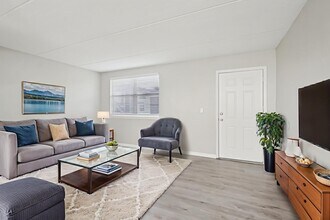 Serenity Lake Apartments in Tampa, FL - Building Photo - Building Photo