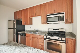 57 E 8th St in Chicago, IL - Foto de edificio - Building Photo