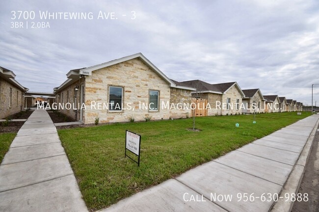 3700 Whitewing Ave