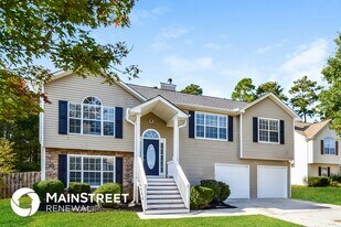 10545 Day Lily Dr in Hampton, GA - Building Photo