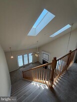 3906 Elan Ct in Bowie, MD - Building Photo