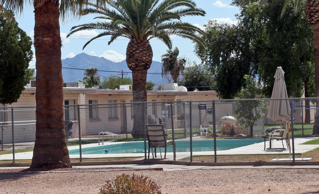 Parkside Palms Apartments in Avondale, AZ - Building Photo - Building Photo