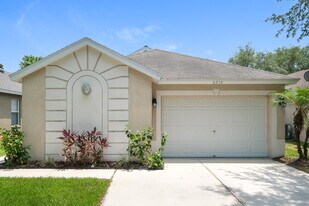 6719 Summer Cove Dr in Riverview, FL - Building Photo