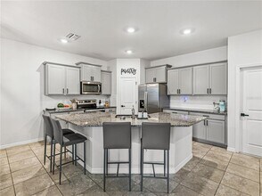 31334 Mango Fade Wy in San Antonio, FL - Building Photo - Building Photo