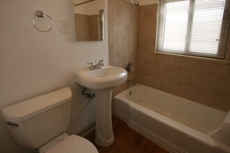 2381-2387 S Race St in Denver, CO - Building Photo - Building Photo