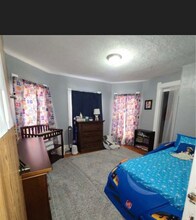 229 Holland St in Syracuse, NY - Foto de edificio - Building Photo