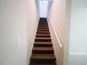 13104 Sanctuary Cove Dr in Temple Terrace, FL - Building Photo - Building Photo