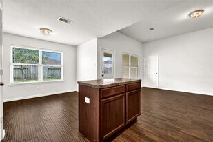 26919 Springflight Ln in Hockley, TX - Building Photo