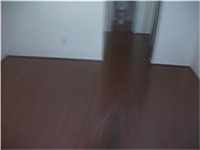 2121 El Paseo St photo'