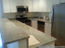 66 Egmont St in Brookline, MA - Building Photo