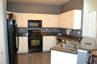 169 Springbrook Trail S in Oswego, IL - Building Photo - Building Photo