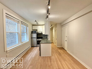 503 W Belmont Ave, Unit S in Chicago, IL - Foto de edificio - Building Photo