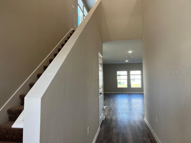 34137 Scarlet Sage Ct in Wesley Chapel, FL - Building Photo - Building Photo