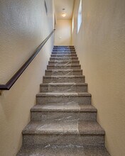 6107 Daisy Petal St in Las Vegas, NV - Building Photo - Building Photo