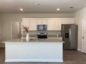 2408 Oscar Eli Pl in Round Rock, TX - Building Photo