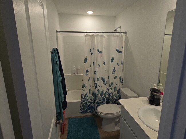 27002 River Birch Ridge Dr in Katy, TX - Building Photo - Building Photo